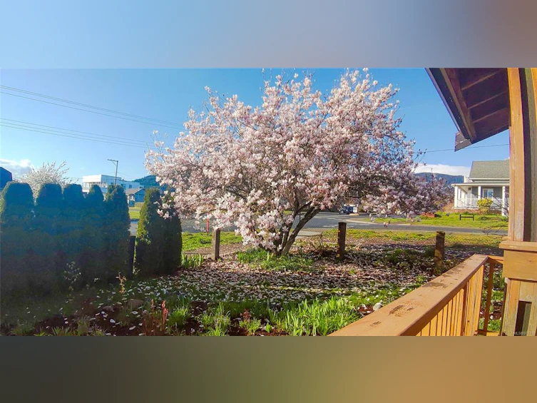 332 Roberts Street, Ladysmith, BC, V9G 1A7 - 39