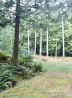 1571 Squirrel Cove Road