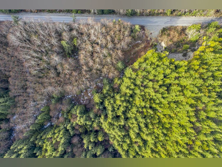 NE1/4SEC15 Gordon River Road, Sooke, BC, V0S 1K0 - 7