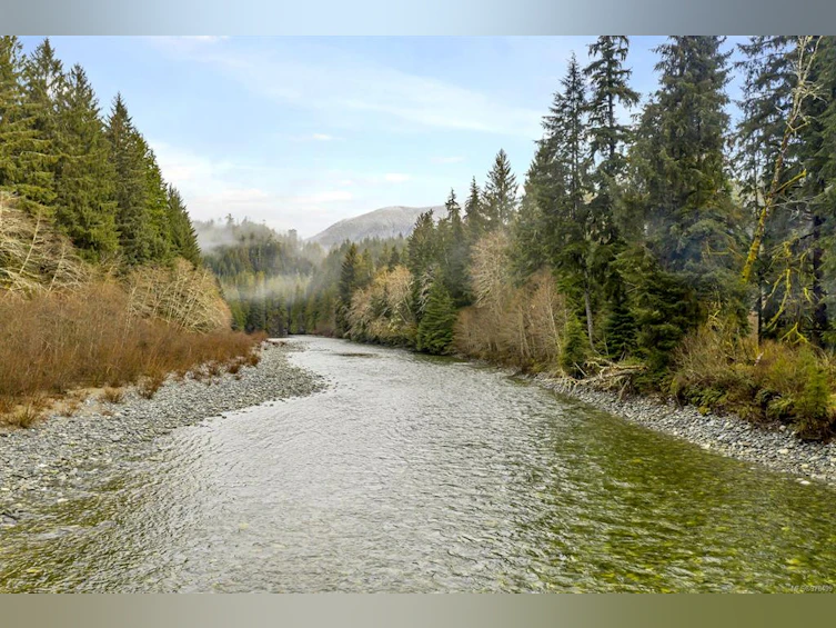 NE1/4SEC15 Gordon River Road, Sooke, BC, V0S 1K0 - 14