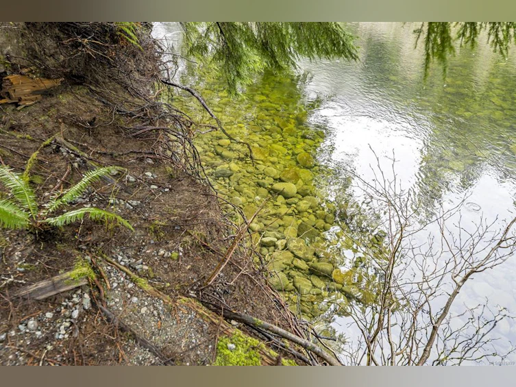 NE1/4SEC15 Gordon River Road, Sooke, BC, V0S 1K0 - 44