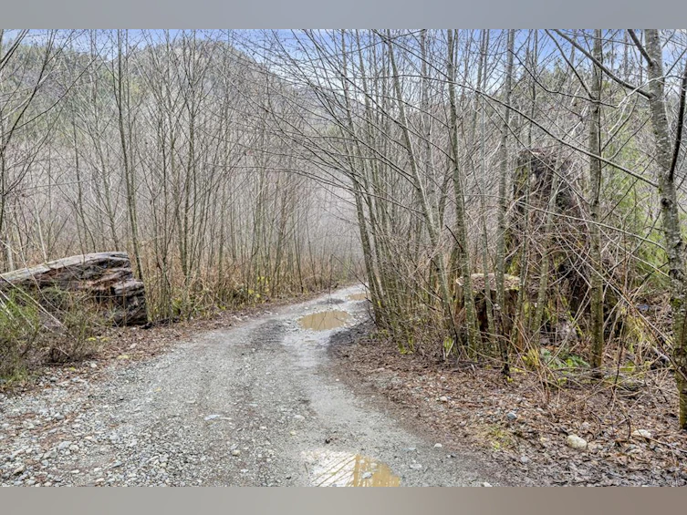 NE1/4SEC15 Gordon River Road, Sooke, BC, V0S 1K0 - 52