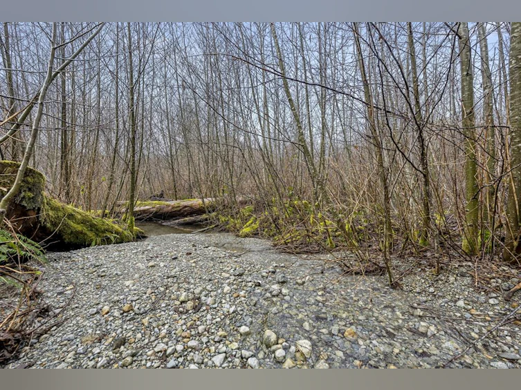 NE1/4SEC15 Gordon River Road, Sooke, BC, V0S 1K0 - 53