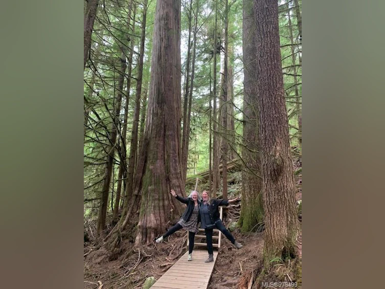 NE1/4SEC15 Gordon River Road, Sooke, BC, V0S 1K0 - 62
