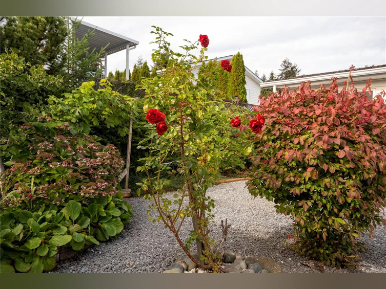 1829 Noorzan Street, Nanaimo, BC, V9R 6N1 - 4