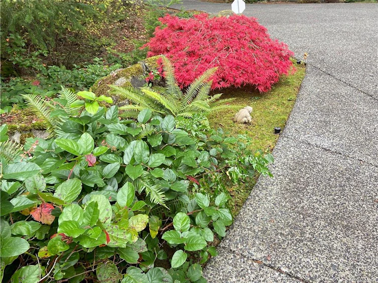 490 Hasquiat Place, North Saanich, BC, V8L 5K5 - 45