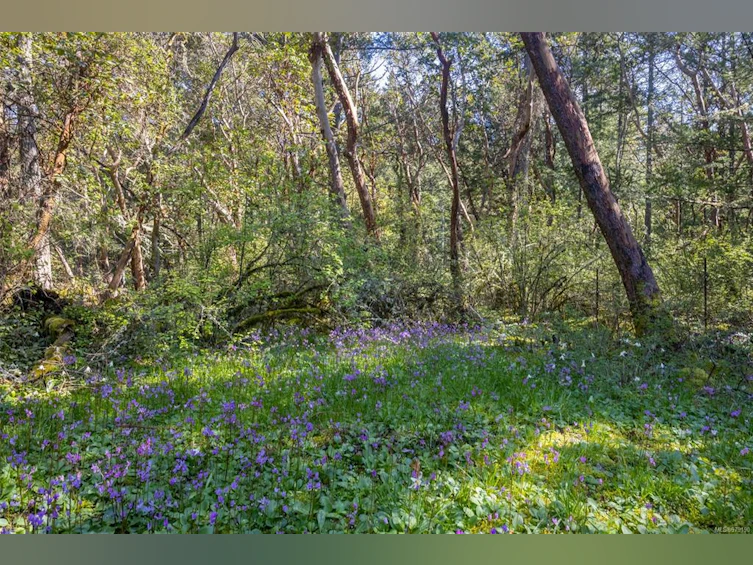 8286 Alec Road, Central Saanich, BC, V8M 1S4 - 15