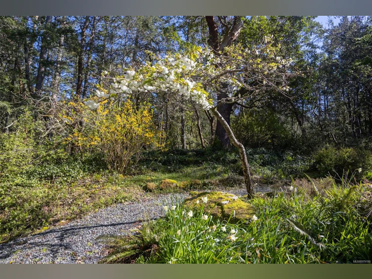 8286 Alec Road, Central Saanich, BC, V8M 1S4 - 20