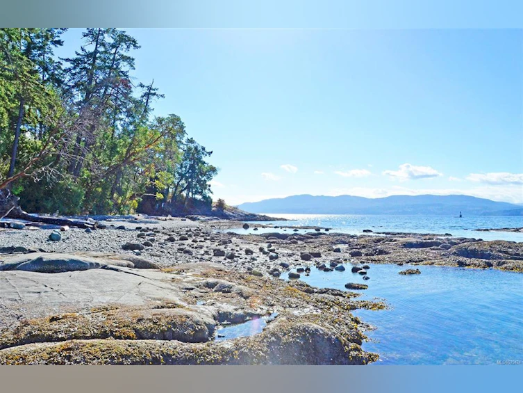 11024 Baxendale Road, North Saanich, BC, V8L 5M4 - 66