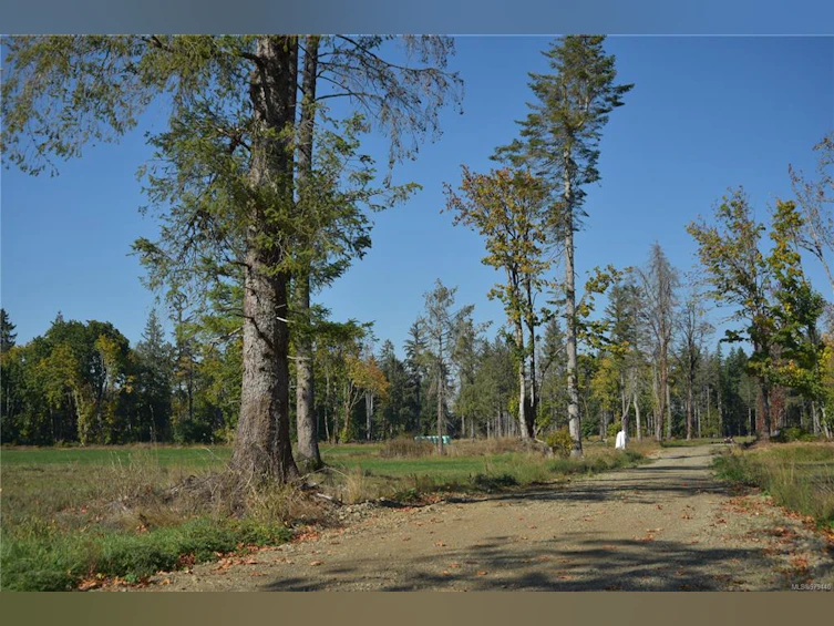 Lot 15 Wavell Road, Fanny Bay, BC, V0R 1W0 - 37