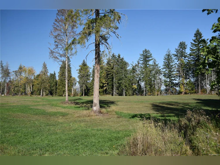 Lot 15 Wavell Road, Fanny Bay, BC, V0R 1W0 - 43