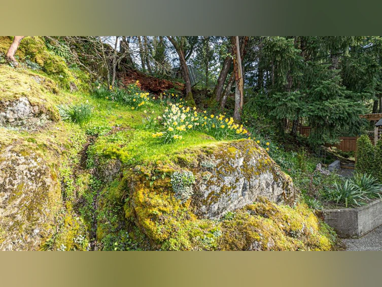658 Rason Road, Langford, BC, V9B 6C6 - 86