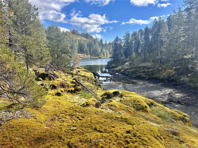 Lot-811 Saltwater Lagoon (Off) Rd, Quadra Island, BC, V0P 1N0 - 31