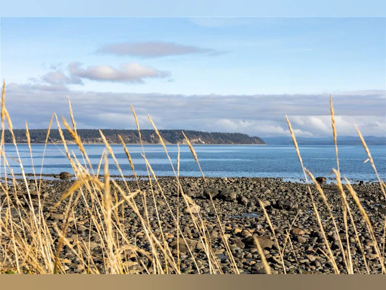30 Oregon Road, Campbell River, BC, V9W 5T1 - 62