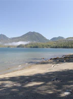 6 Lyall Point