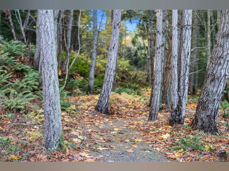 8380 Sabre Road, Nanaimo, BC, V0R 2H0 - 29