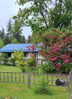 156 Lennea Place