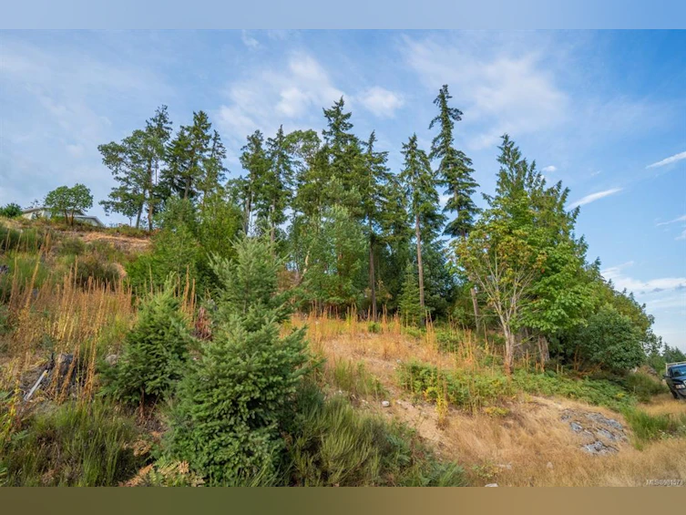 Lot 13 Teal Court, Lake Cowichan, BC, V0R 2G0 - 17