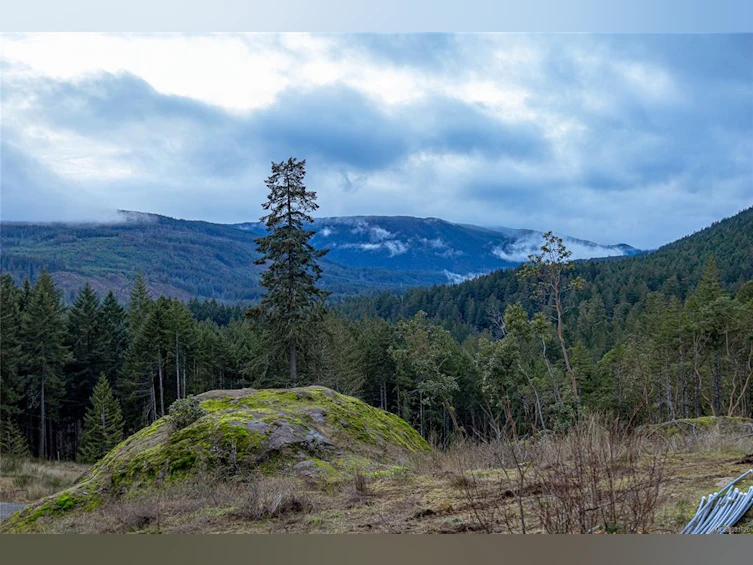 3113 Renfrew Road, Shawnigan Lake, BC, V0R 2W1 - 55