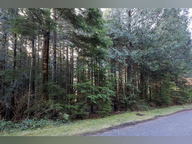 415 13th Avenue, Sointula, BC, V0N 3E0 - 18