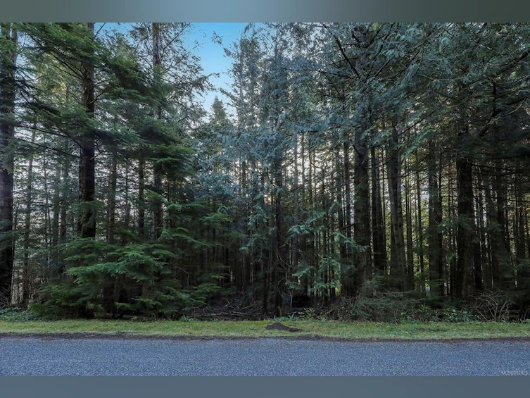 415 13th Avenue, Sointula, BC, V0N 3E0 - 19