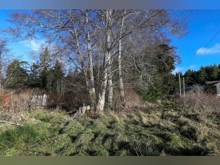 665 1st Street, Sointula, BC, V0N 3E0 - 21