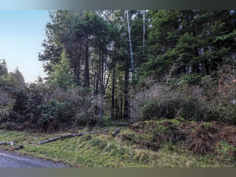 665 1st Street, Sointula, BC, V0N 3E0 - 29
