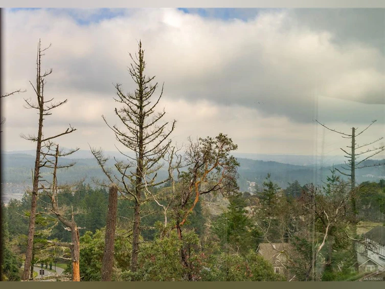1108 Timber View, Langford, BC, V9B 0B5 - 15