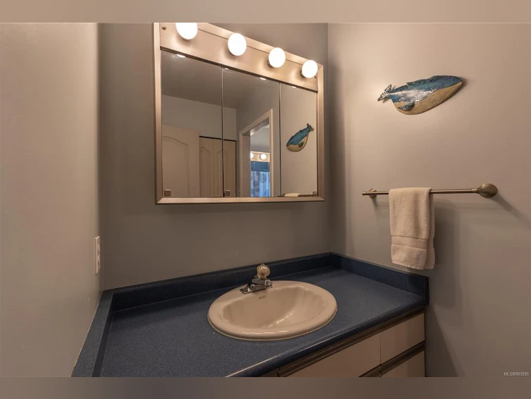 357 Ptarmigan Place, Campbell River, BC, V9W 7B2 - 34