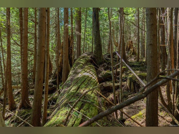 0 Schloss Island, Port Hardy, BC - 11