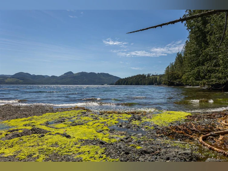 0 Schloss Island, Port Hardy, BC - 15