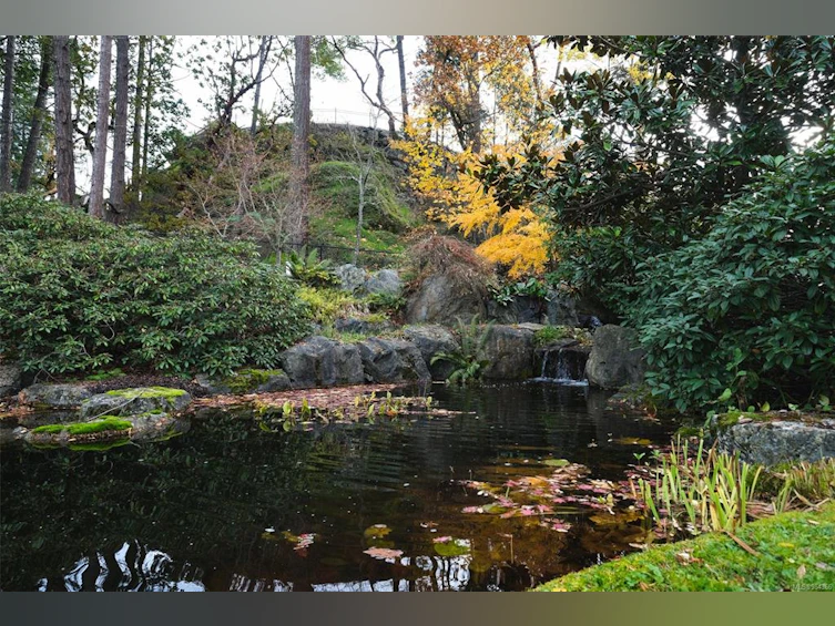 105-3640 Propeller Place, Colwood, BC, V9C 0G1 - 49