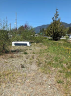 4040 Cougar Crescent
