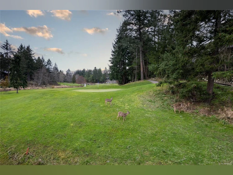 2471 Andover Road, Nanoose, BC, V9P 9K5 - 50