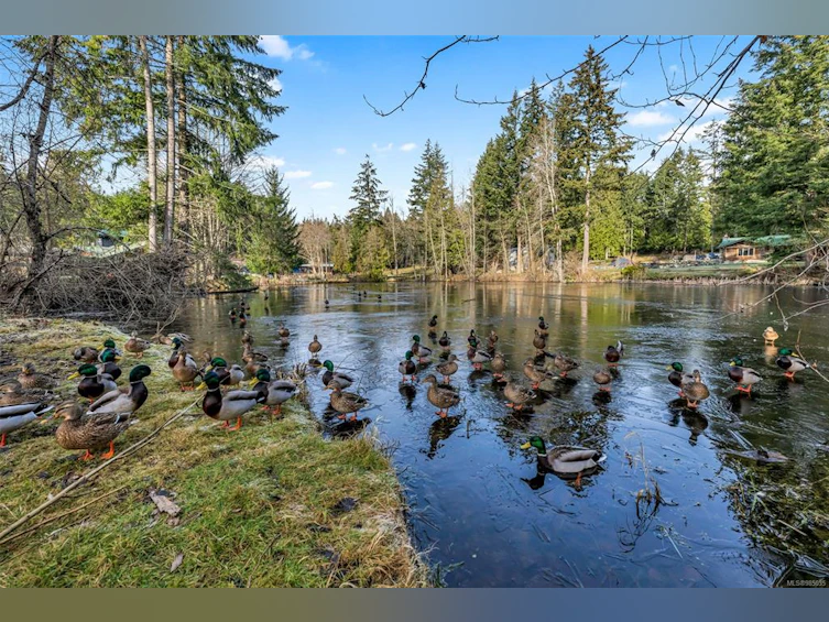 3398 Ridgeview Crescent, Cobble Hill, BC, V0R 1L7 - 45
