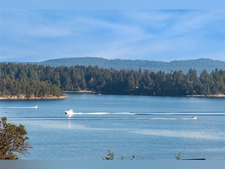 283 Dogwood Drive, Ladysmith, BC, V9G 1T3 - 37