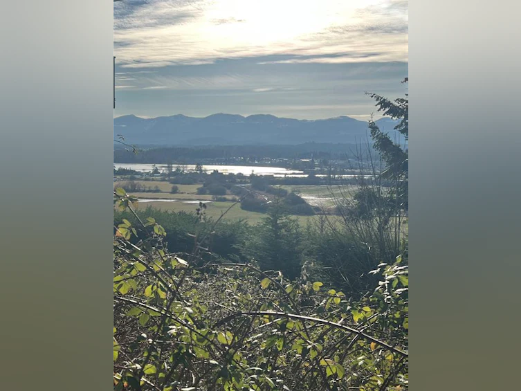 1940 Snowbird Lane, Courtenay, BC, V9N 9C4 - 10