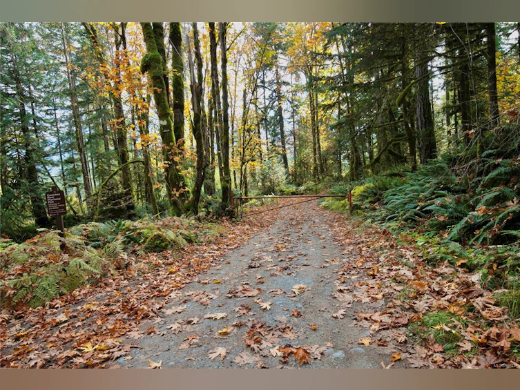 6049 W Riverbottom Road, Lake Cowichan, BC, V9L 6H7 - 38