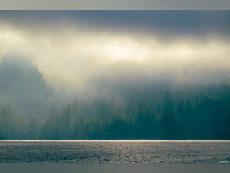 Lot 0 Cheeyah Island, Port Alberni, BC, V0R 2B0 - 8