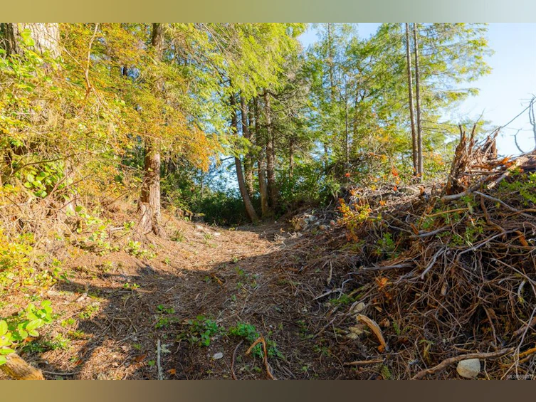 Lot 0 Cheeyah Island, Port Alberni, BC, V0R 2B0 - 15