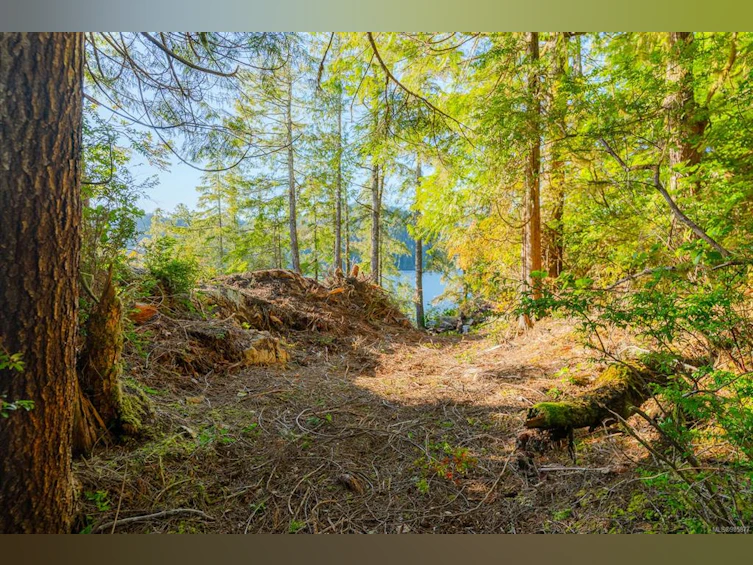 Lot 0 Cheeyah Island, Port Alberni, BC, V0R 2B0 - 16