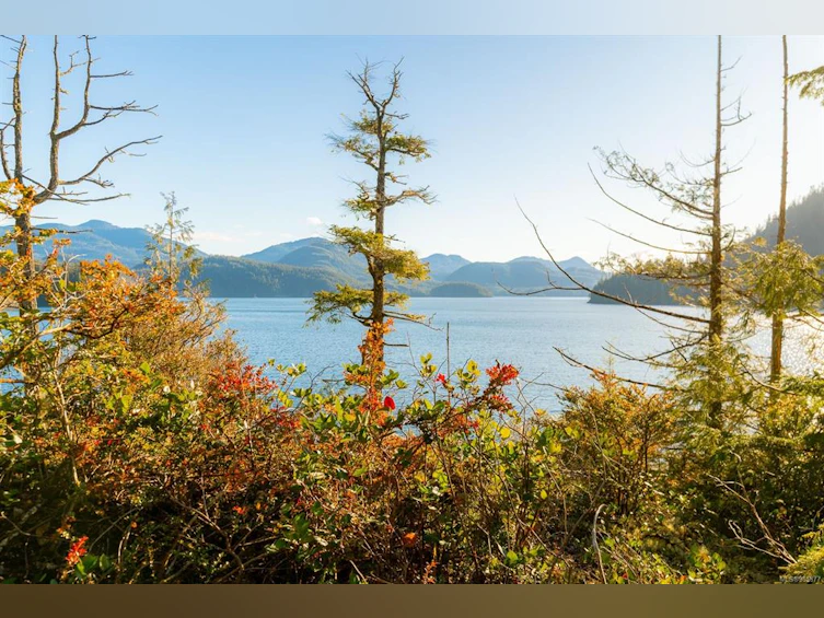 Lot 0 Cheeyah Island, Port Alberni, BC, V0R 2B0 - 19
