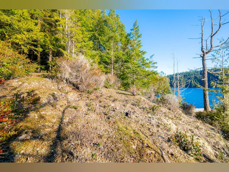 Lot 0 Cheeyah Island, Port Alberni, BC, V0R 2B0 - 20