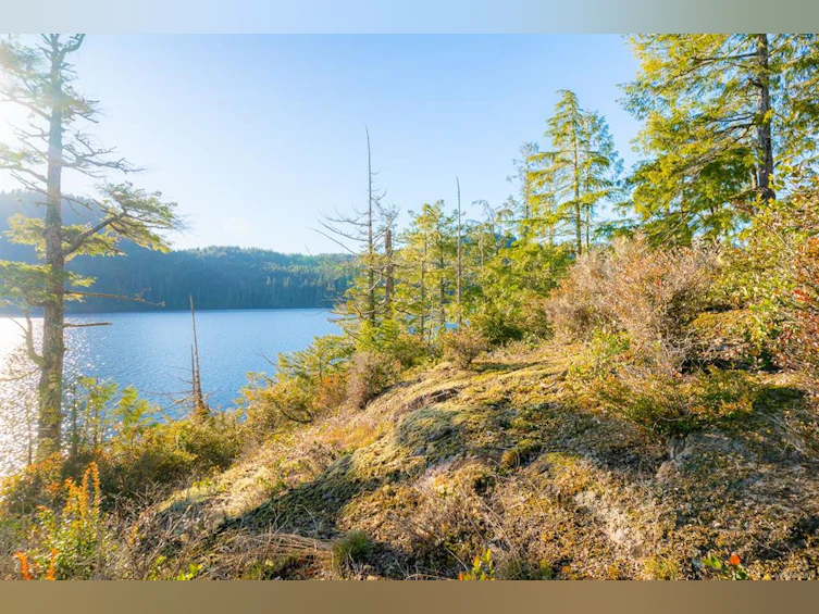 Lot 0 Cheeyah Island, Port Alberni, BC, V0R 2B0 - 21