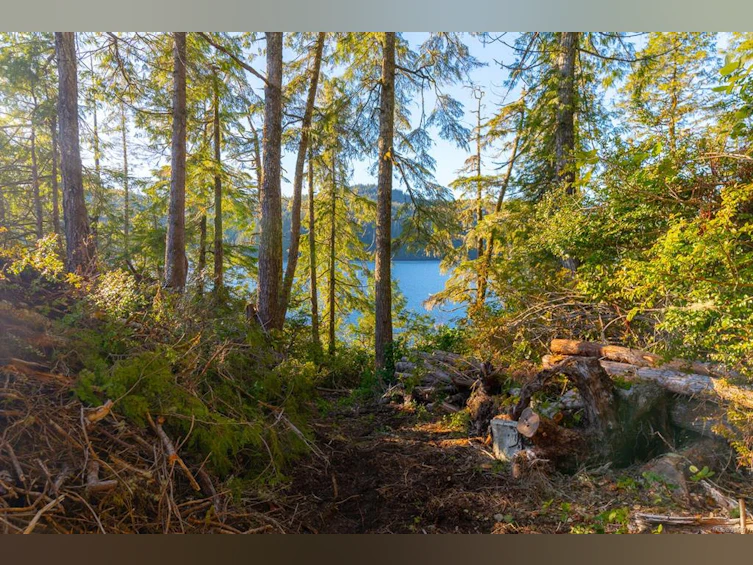 Lot 0 Cheeyah Island, Port Alberni, BC, V0R 2B0 - 23