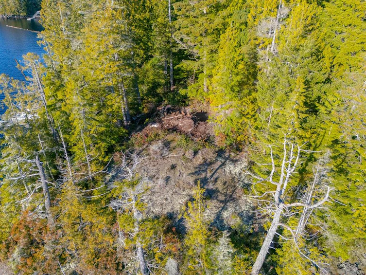 Lot 0 Cheeyah Island, Port Alberni, BC, V0R 2B0 - 38