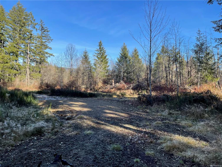 5805 N Saunders Road, Port Alberni, BC, V9Y 8W5 - 6