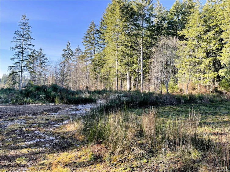 5805 N Saunders Road, Port Alberni, BC, V9Y 8W5 - 11