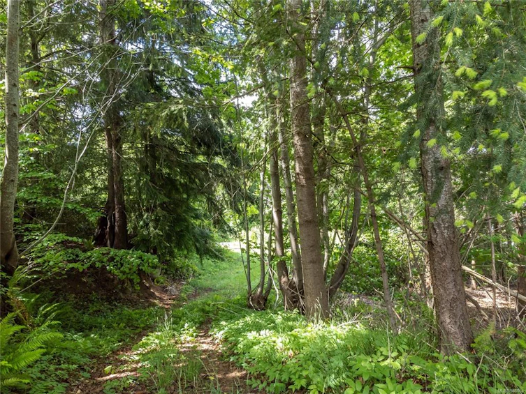 985 Maple Road, Campbell River, BC, V9W 3E9 - 56