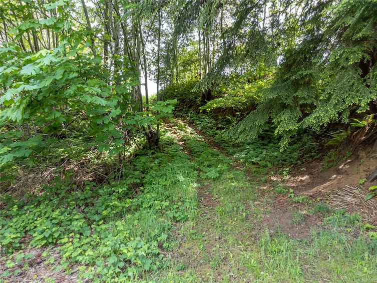 985 Maple Road, Campbell River, BC, V9W 3E9 - 57